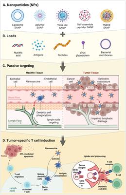 Self-assembled nanoparticles: A new platform for revolutionizing therapeutic cancer vaccines